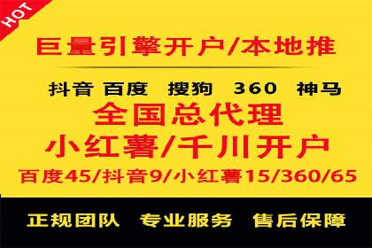 某行业巨头背后的SEM代运营托管公司